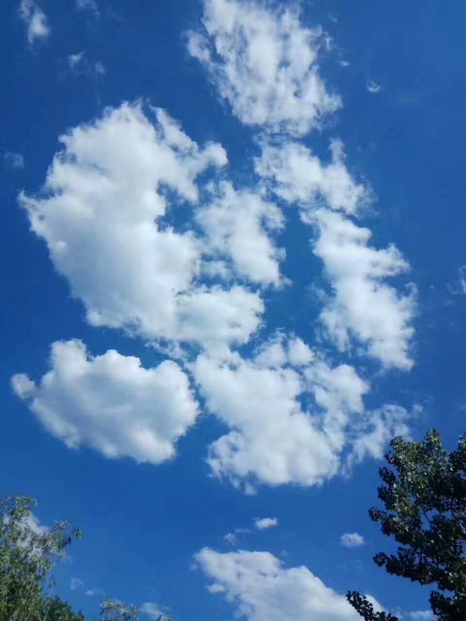 Ͼɽһ